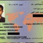 نمونه کارت بازرگانی